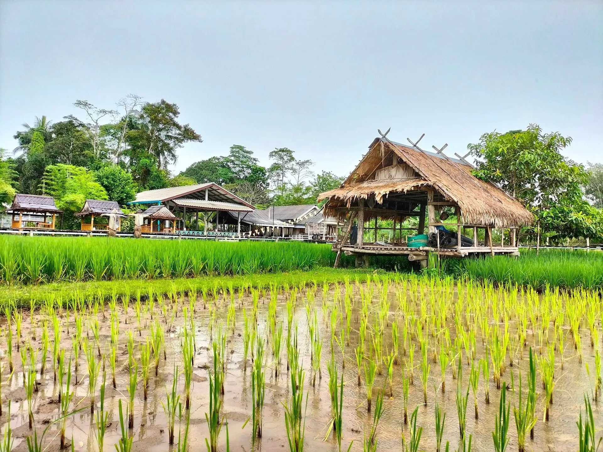 ที่เที่ยวนครศรีธรรมราชใหม่ๆ เลือกจบได้ใน 1 วัน ที่เที่ยวนครศรีธรรมราชใหม่ๆ เลือกจบได้ใน 1 วัน
